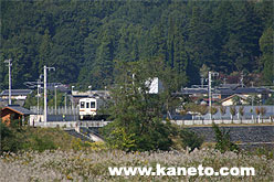 Photo by Y.Hiroyama