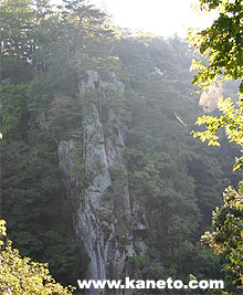Photo by Y.Hiroyama